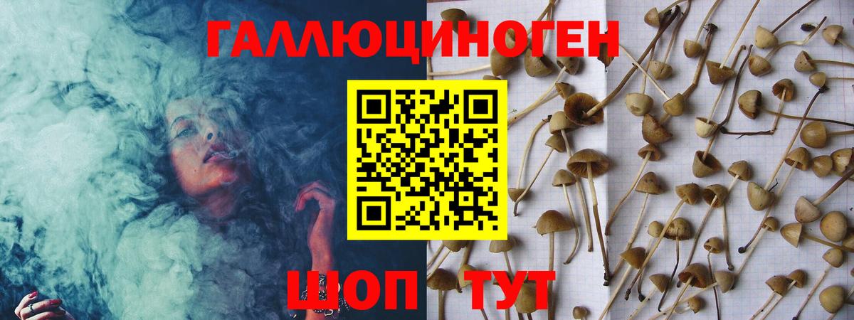 Псилоцибиновые грибы мицелий Конаково