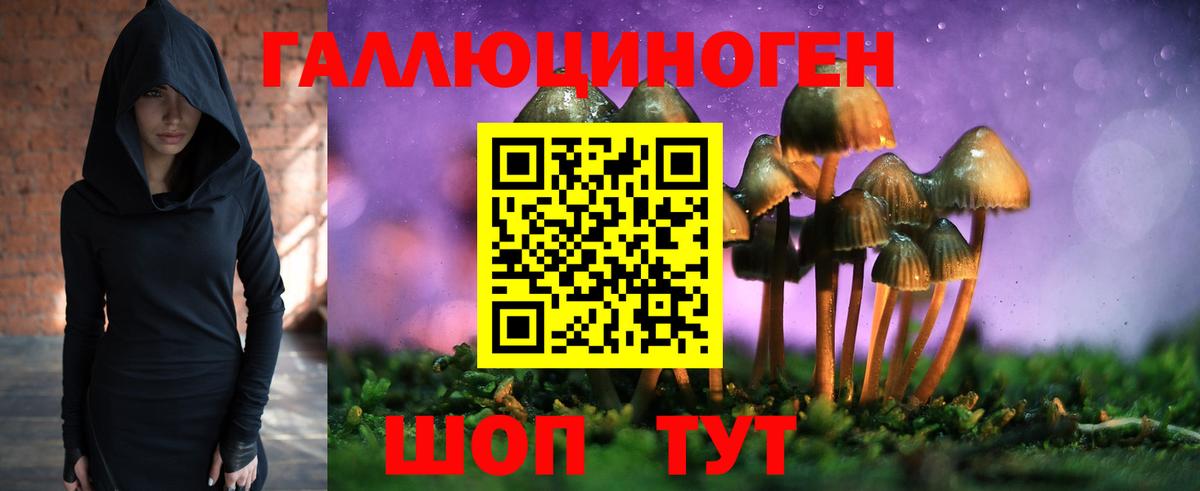 Псилоцибиновые грибы GOLDEN TEACHER  Вход с VPN  Псилоцибиновые грибы GOLDEN TEACHER  Конаково 